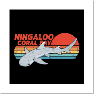 Ningaloo Coral Bay Whitetip Reef Shark Posters and Art